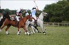 UKPA NC SAT_2918